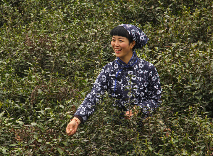 直播软件app大全 热门推荐